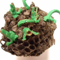 Wasp's Nest V
